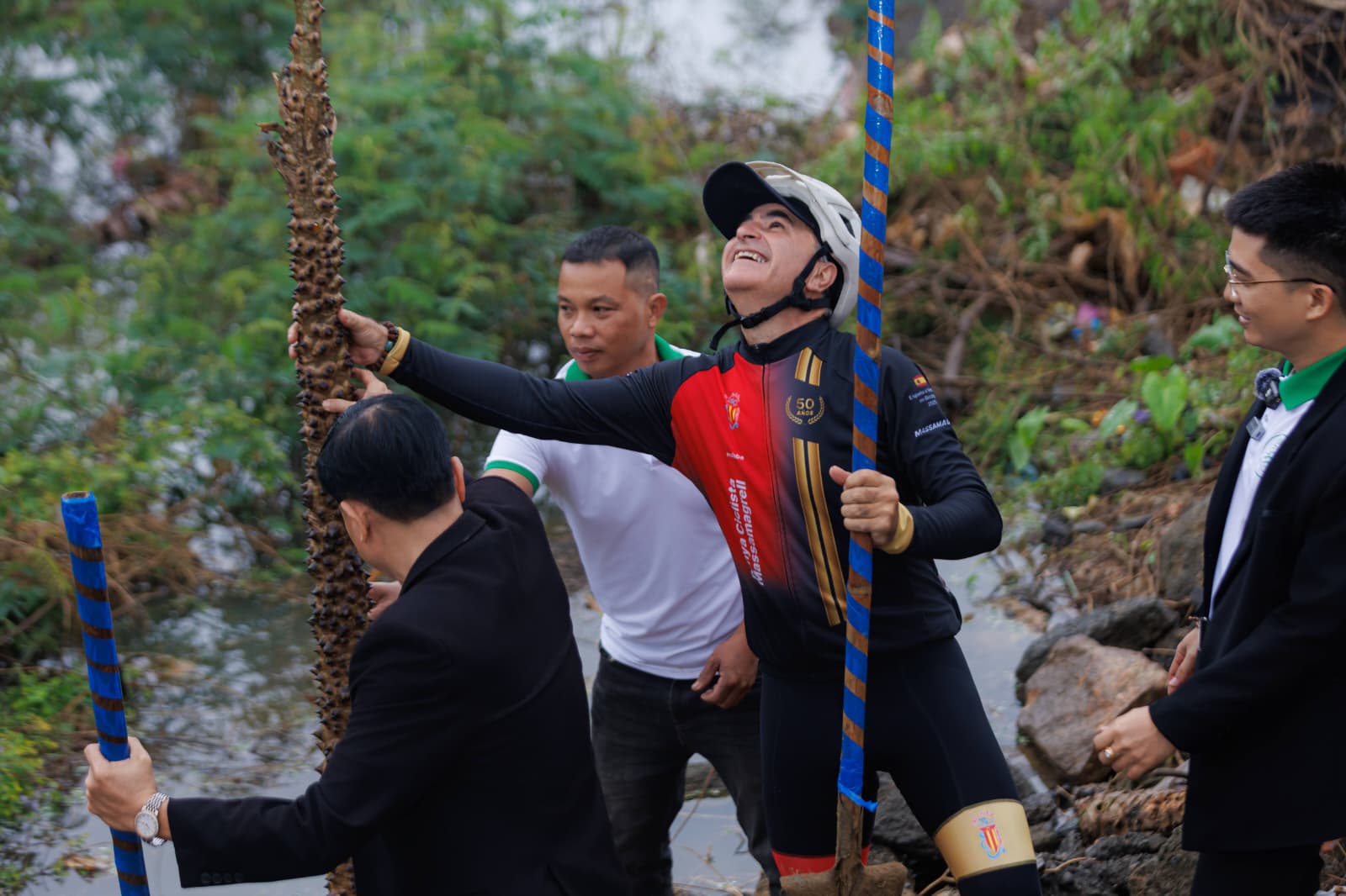 El árbol plantado junto al río Thu Bồn, crecido